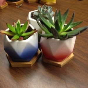 Meet your Posher, Lydia